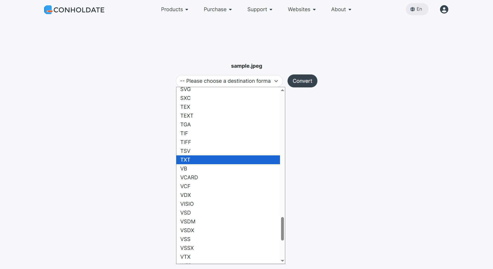 selecting target txt format